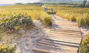 Shimmering Seascapes, Mark Shasha