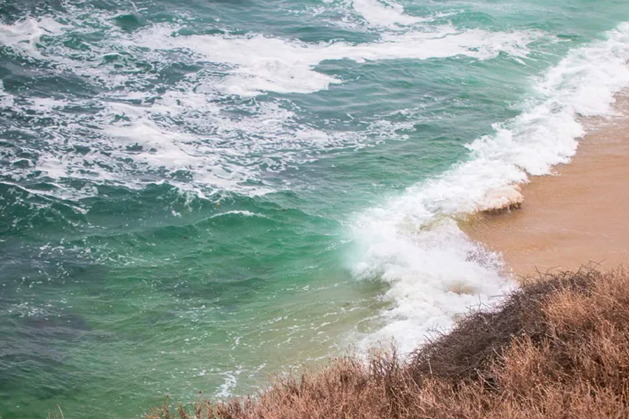 Sea State, Fletcher Boland