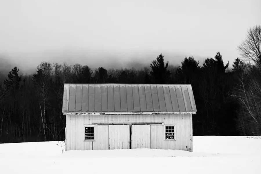 Rooted in Vermont, Mark Katz