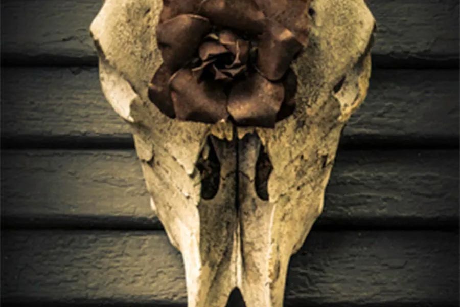 2024 MAA Photography Member Show