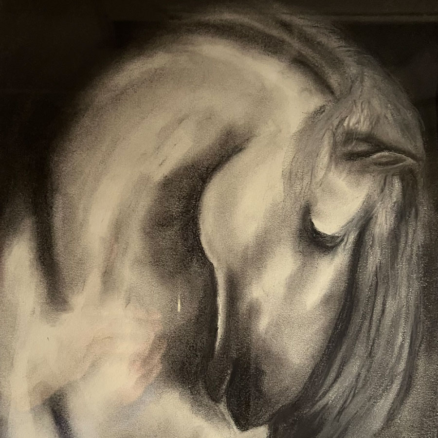 Dawn Williamson