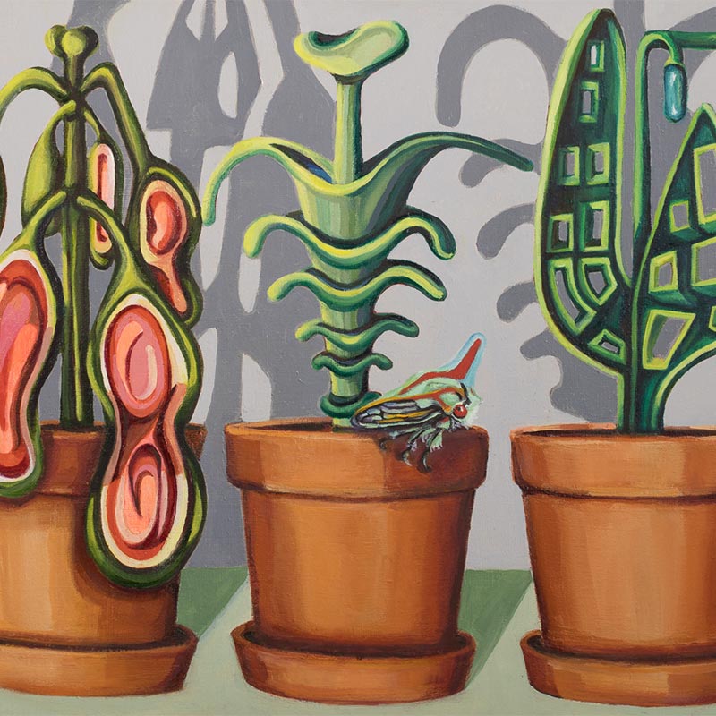 Sue Hammerland