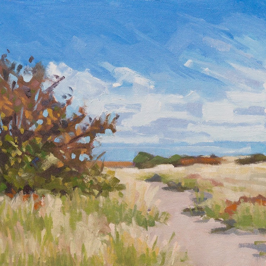 Works by Peter Ziegler