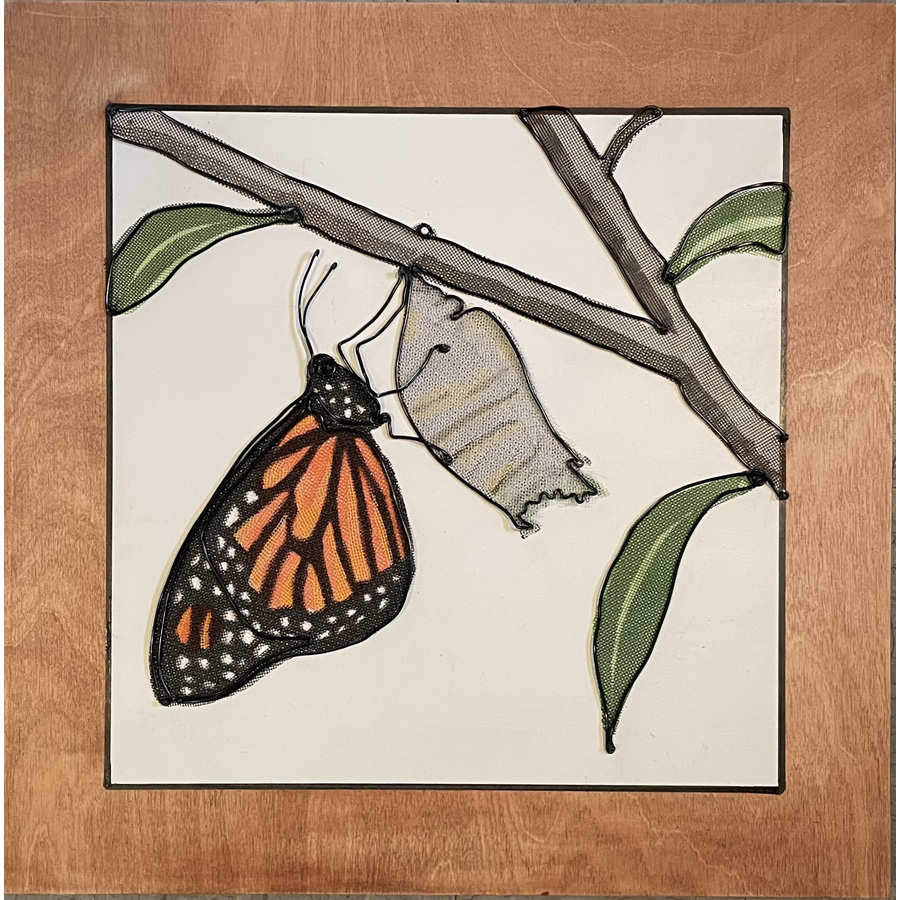IMG_5076-square